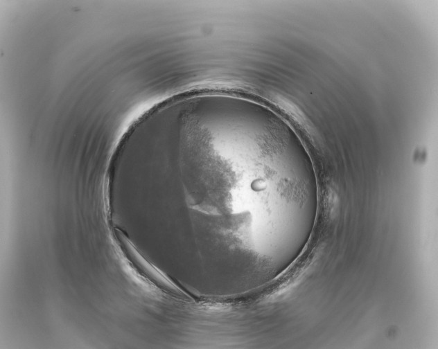 X0000094221030200711021135