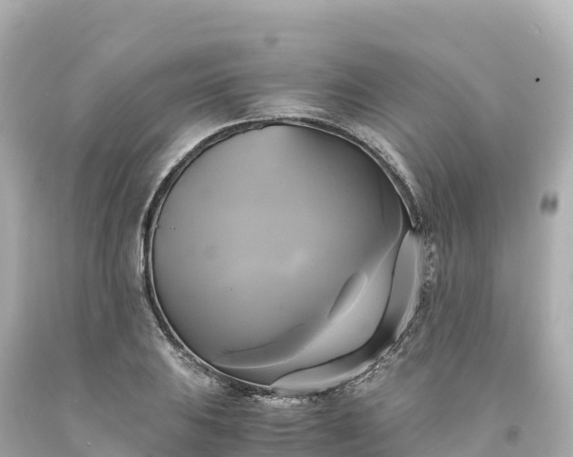 X0000094221031200711021135