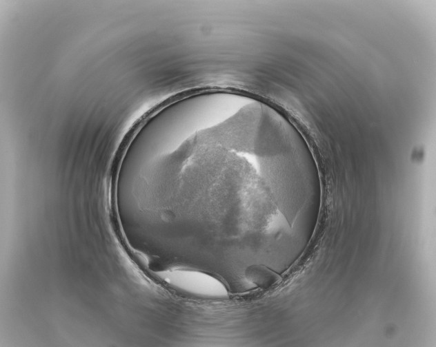 X0000094221032200711021135