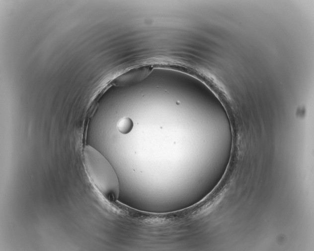 X0000094221033200711021135