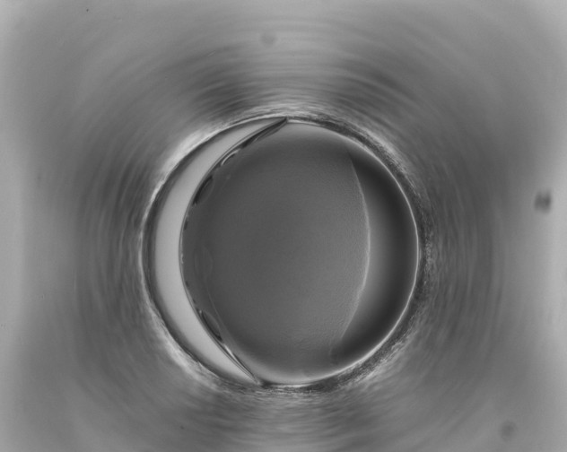 X0000094221034200711021135