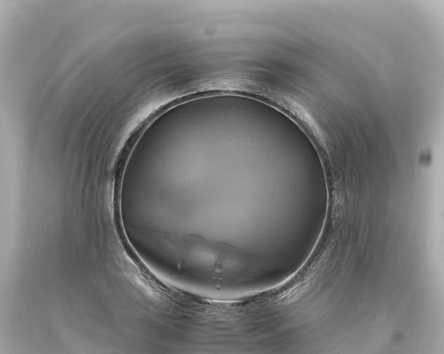 X0000094221035200711021135