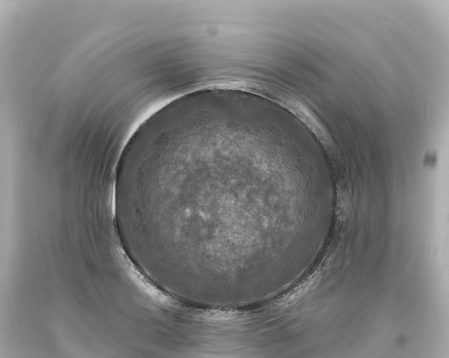 X0000094221036200711021135