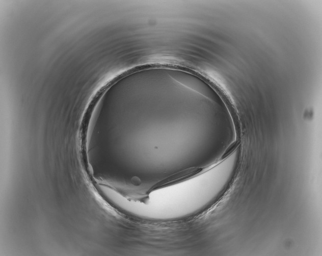 X0000094221037200711021135