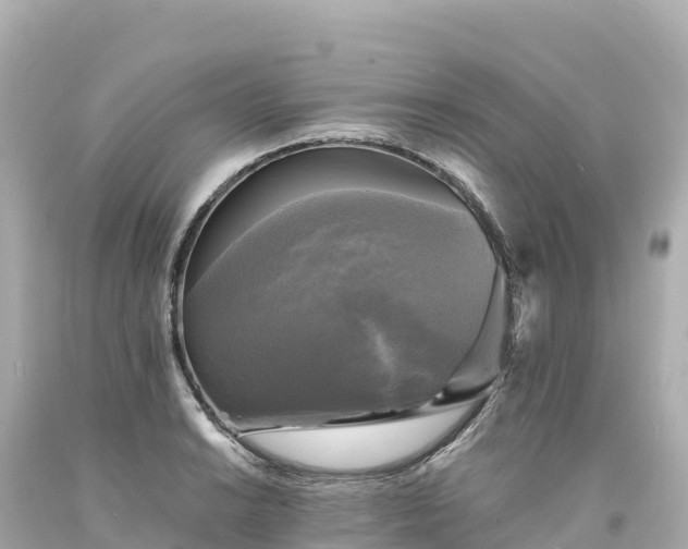 X0000094221038200711021135