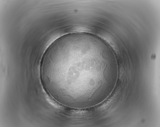 X0000094221039200711021135