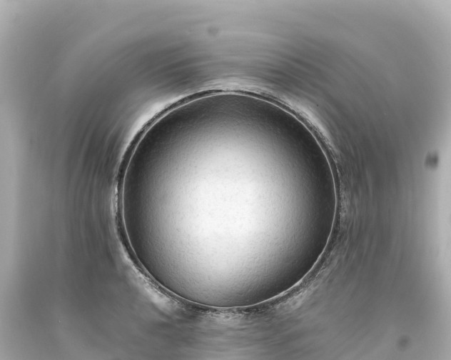 X0000094221040200711021135