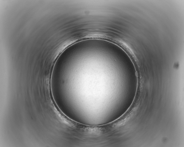 X0000094221041200711021135