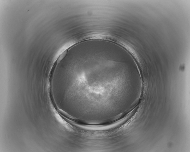 X0000094221042200711021135