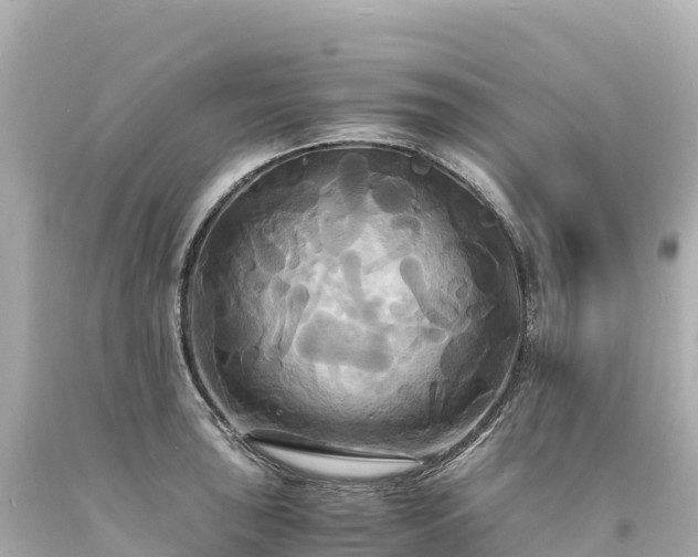 X0000094221043200711021135