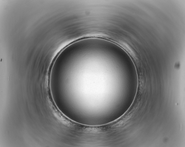 X0000094221044200711021135