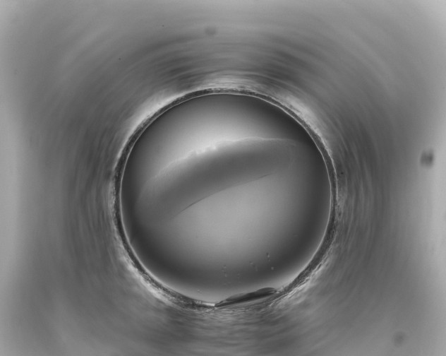 X0000094221045200711021135