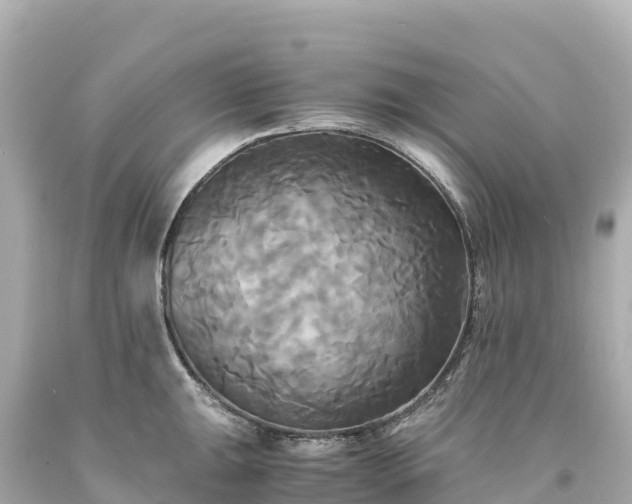 X0000094221047200711021135