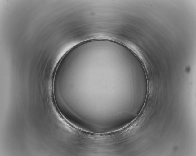 X0000094221048200711021135