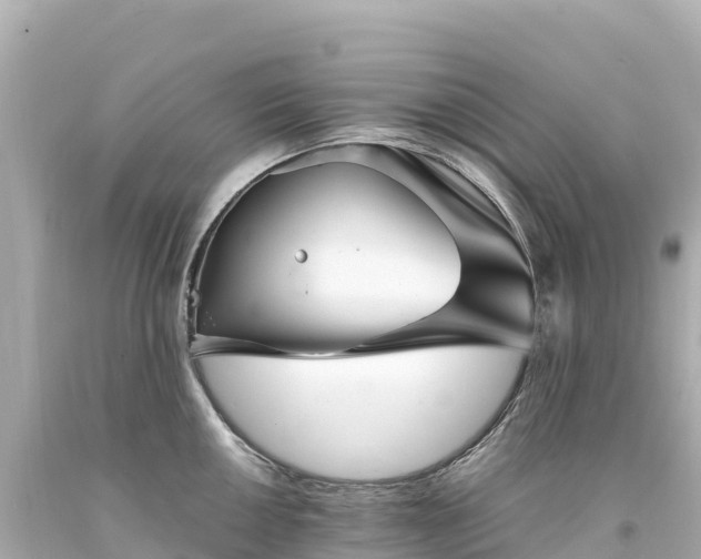 X0000094221050200711021135