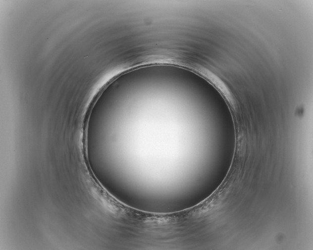 X0000094221051200711021135