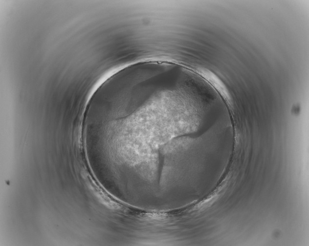 X0000094221052200711021135