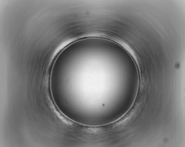 X0000094221053200711021135