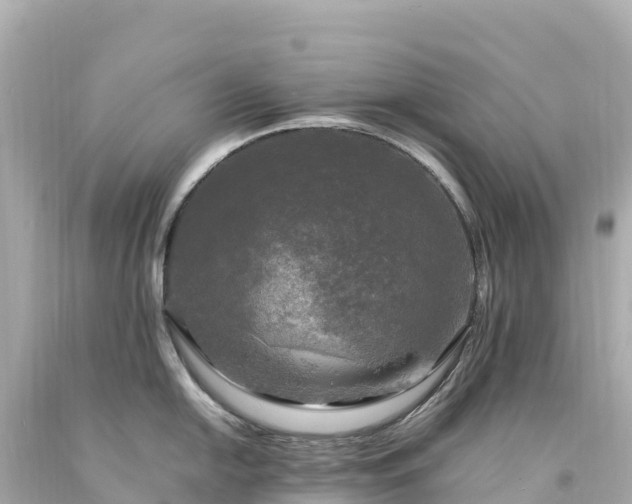 X0000094221054200711021135