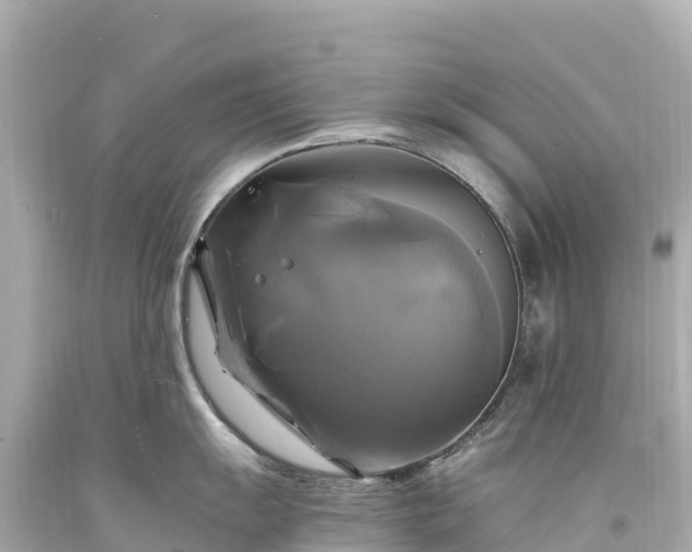 X0000094221055200711021135