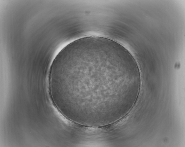 X0000094221056200711021135