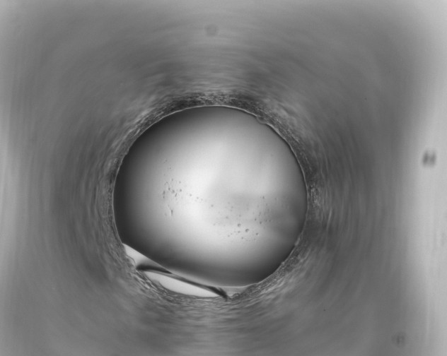 X0000094221057200711021134