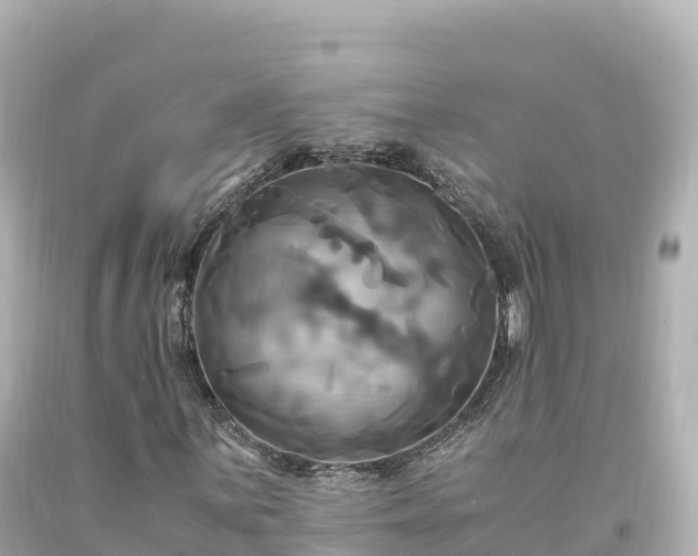 X0000094221059200711021134