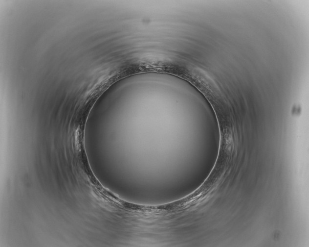 X0000094221060200711021134