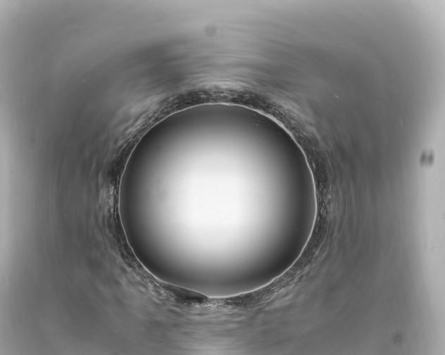 X0000094221061200711021134