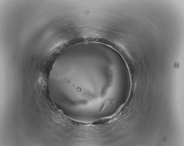 X0000094221063200711021134