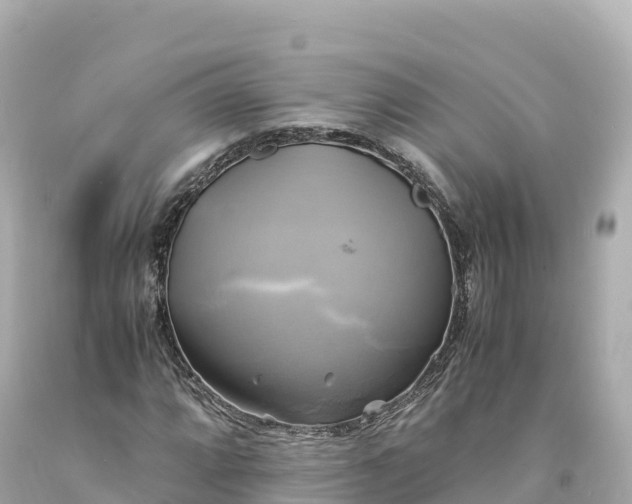 X0000094221064200711021134