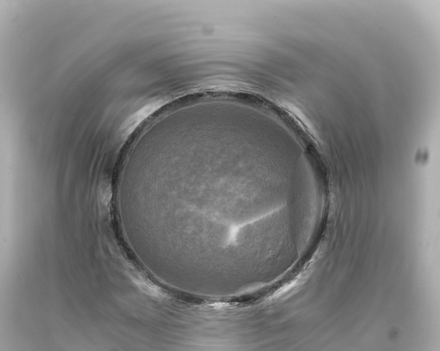 X0000094221065200711021134