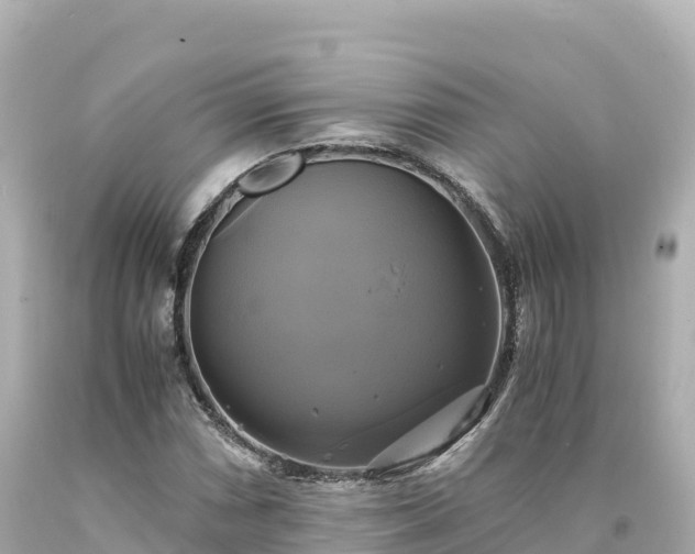 X0000094221066200711021134