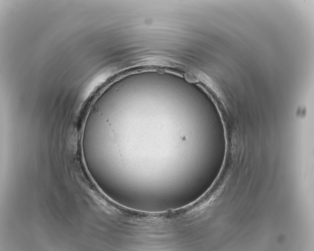 X0000094221067200711021134