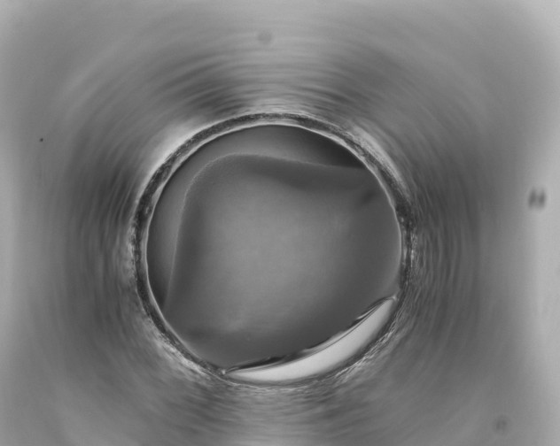 X0000094221068200711021134