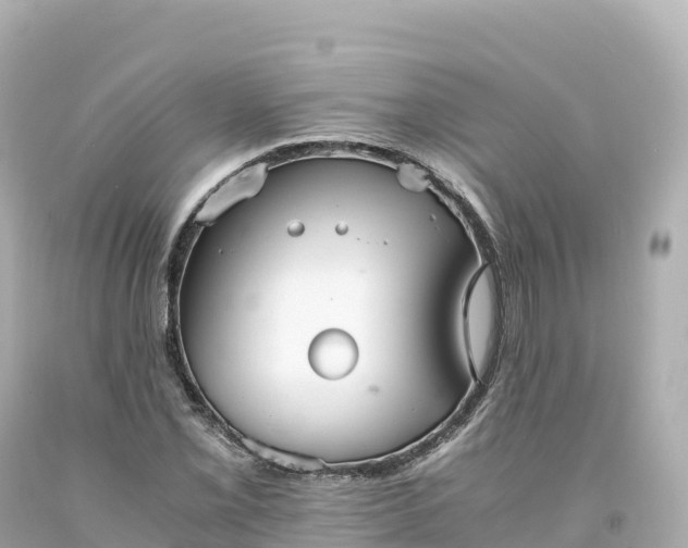 X0000094221069200711021134