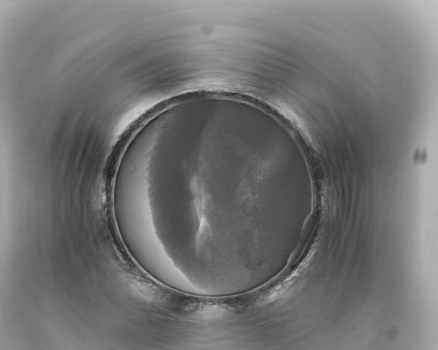 X0000094221070200711021134