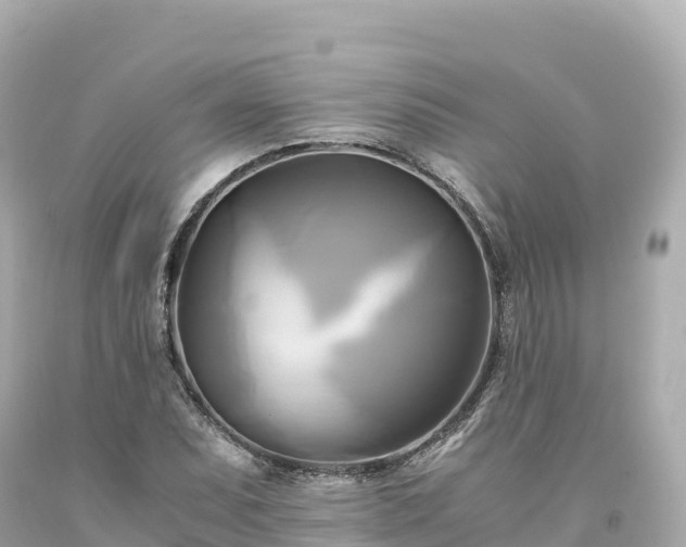 X0000094221071200711021134