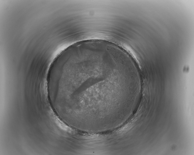 X0000094221072200711021134