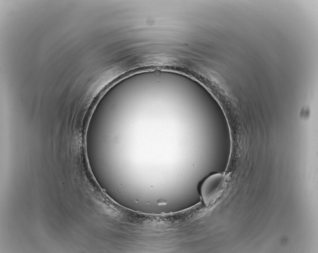 X0000094221073200711021134