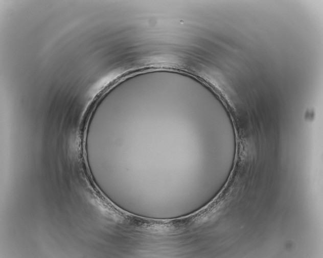 X0000094221074200711021134