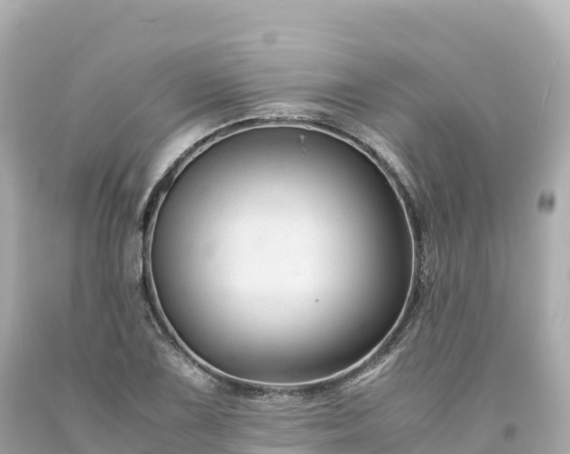 X0000094221075200711021134