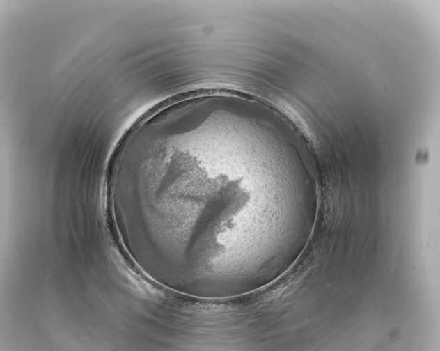 X0000094221076200711021134