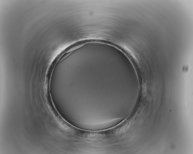 X0000094221077200711021134