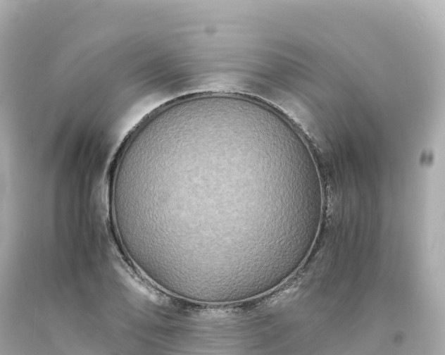 X0000094221078200711021134