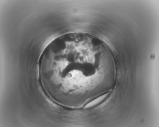 X0000094221079200711021134