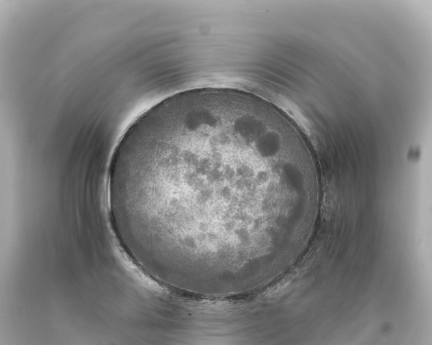 X0000094221080200711021134