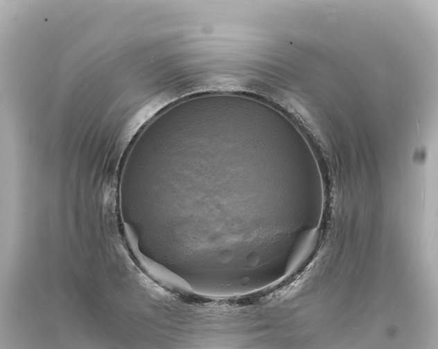 X0000094221081200711021134