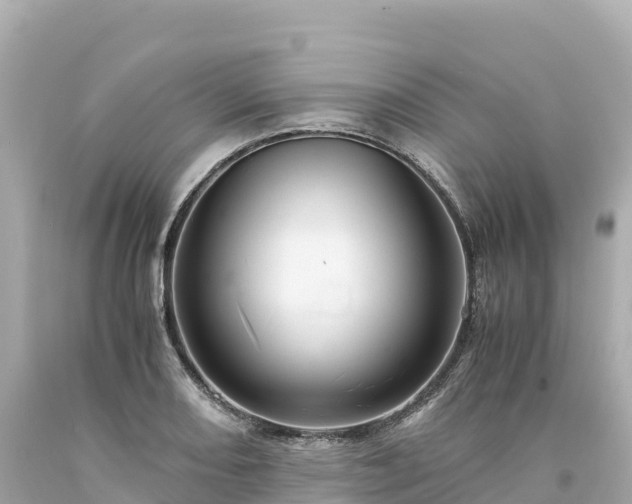 X0000094221082200711021134