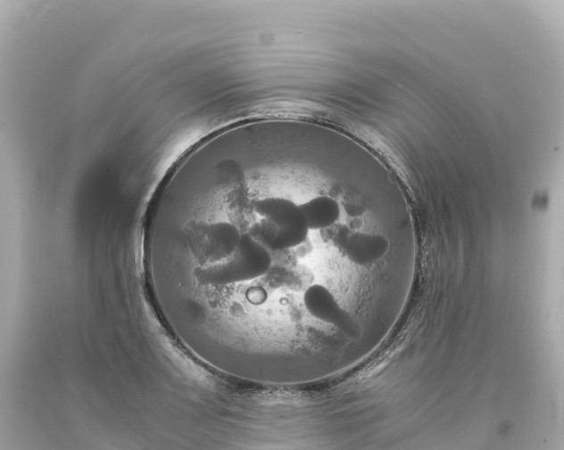 X0000094221083200711021134